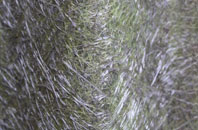 Admaston fibreglass roof work